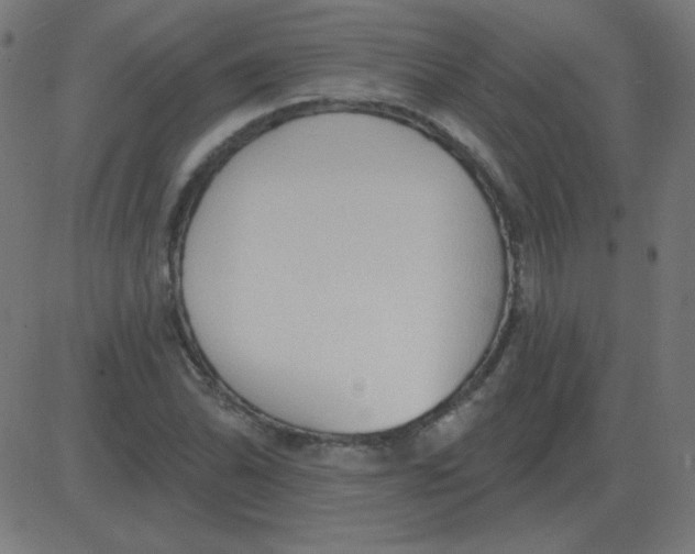 X0000081281070200702012213