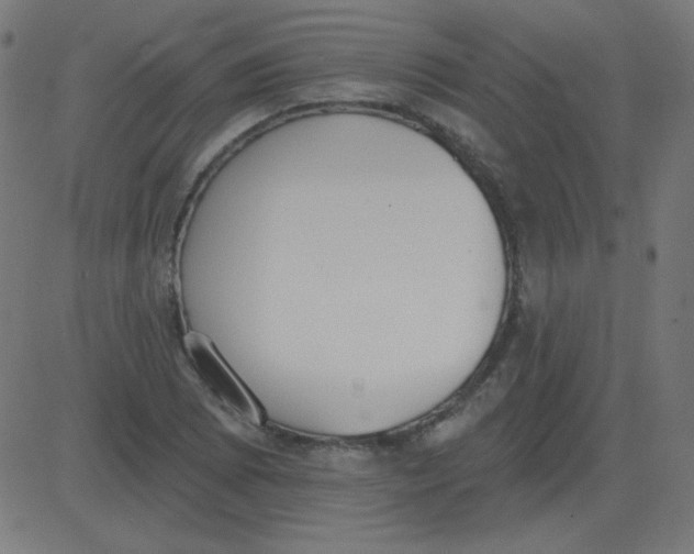 X0000081281073200702012213