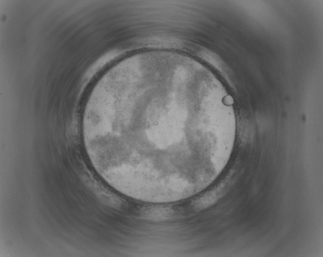 X0000081281074200702012213