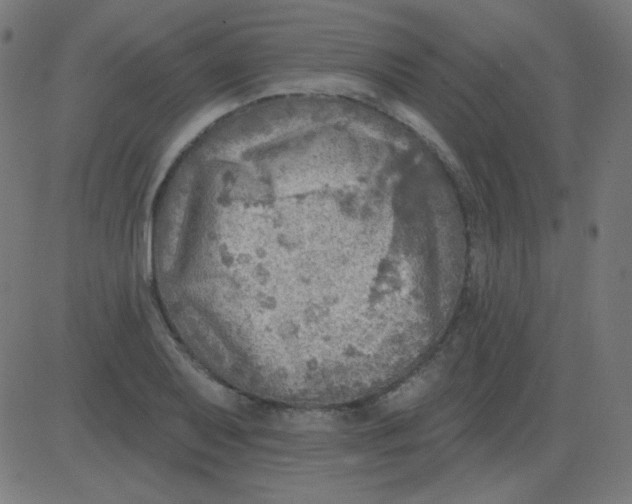 X0000081281079200702012213