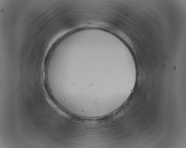 X0000081281080200702012213