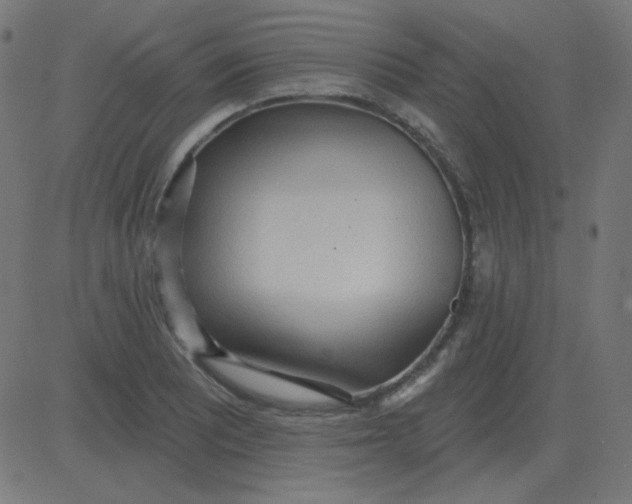 X0000081281081200702012213