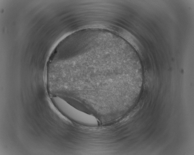 X0000081281084200702012213