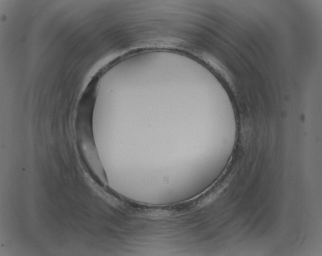 X0000081281085200702012213