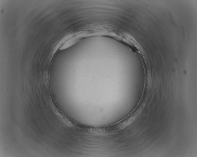 X0000081281089200702012212