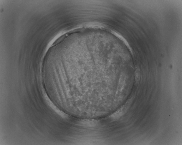 X0000081281091200702012212