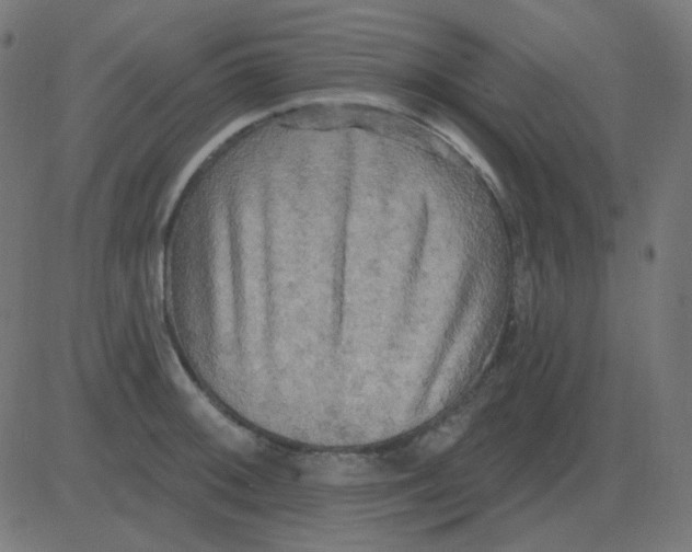 X0000081281092200702012212