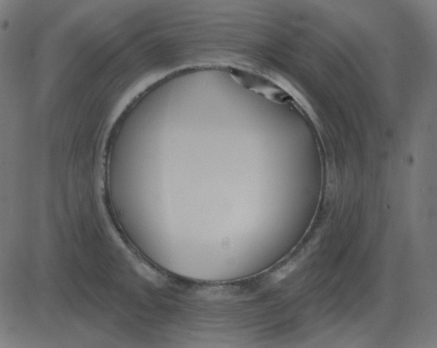 X0000081281093200702012212