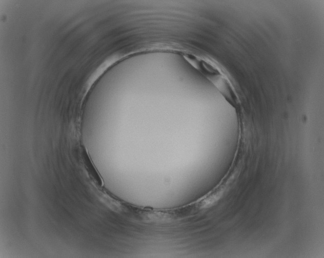 X0000081281097200702012212