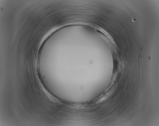 X0000081281101200702012212