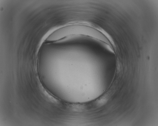 X0000081281102200702012212