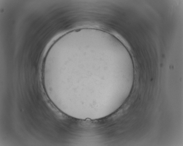 X0000081281104200702012212