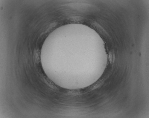 X0000081281107200702012211