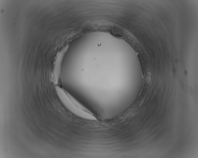 X0000081281108200702012211