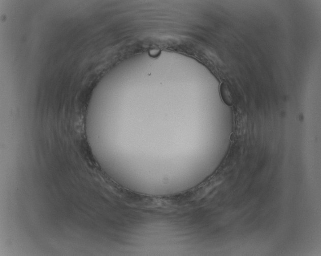 X0000081281109200702012212