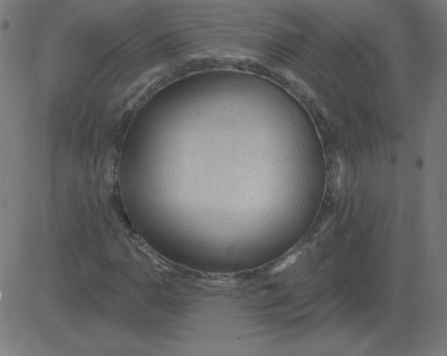 X0000081281110200702012212