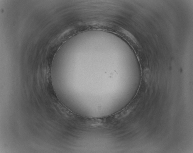 X0000081281111200702012212