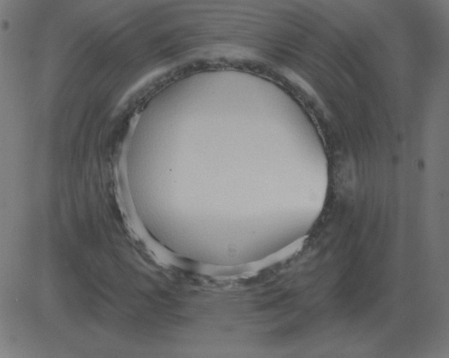 X0000081281112200702012212