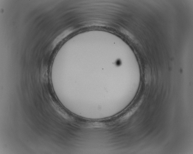 X0000081281113200702012212