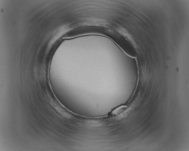 X0000081281114200702012212