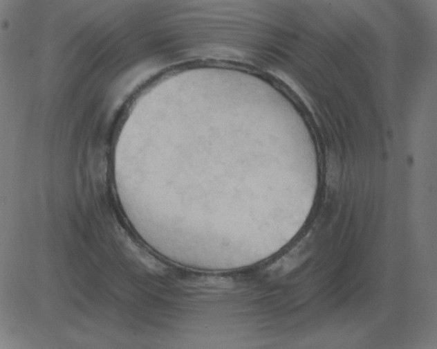 X0000081281115200702012212