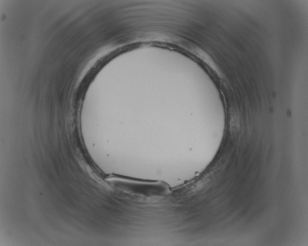 X0000081281116200702012212