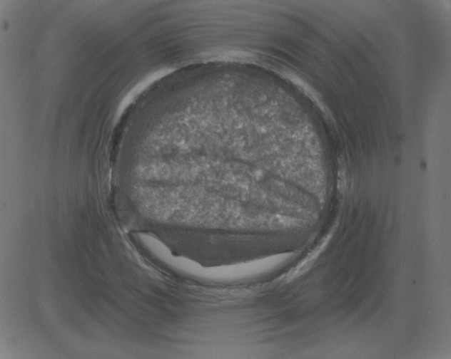 X0000081281117200702012212