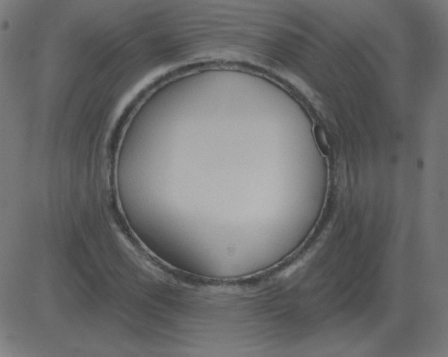 X0000081281118200702012212