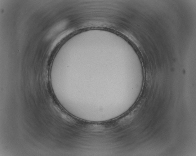 X0000081281119200702012212