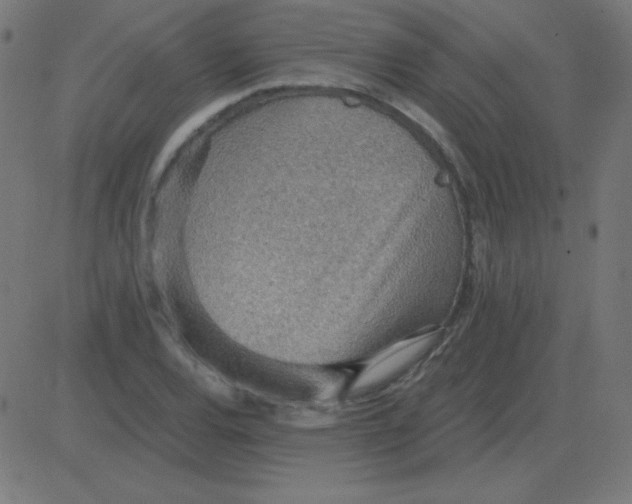 X0000081281120200702012212