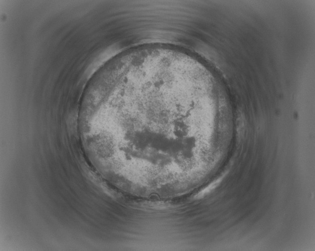 X0000081281121200702012212