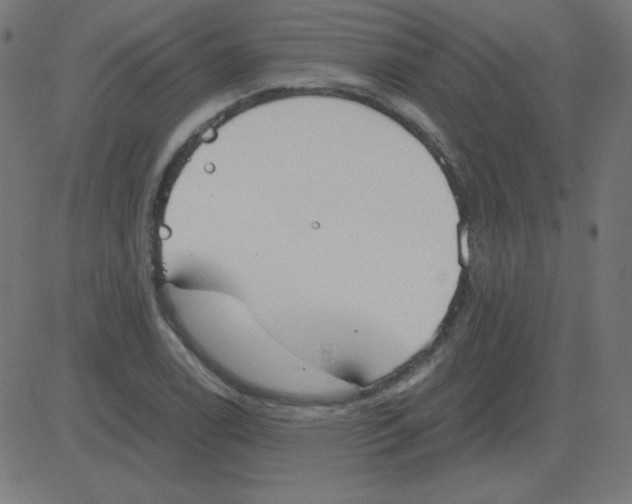 X0000081281122200702012212