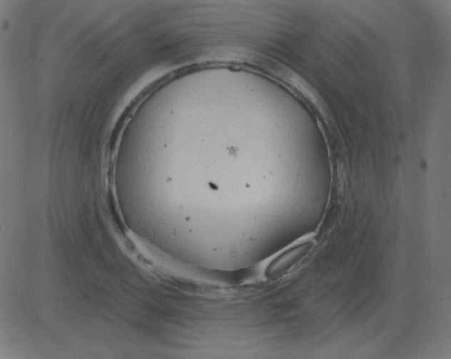 X0000081281124200702012212