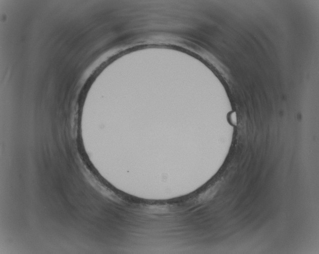 X0000081281126200702012212