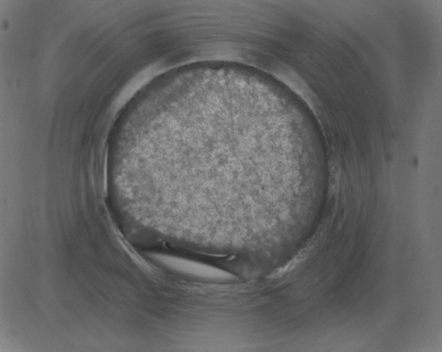 X0000081281127200702012212