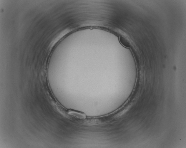 X0000081281129200702012212