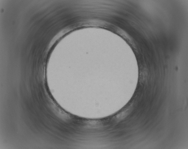 X0000081281130200702012212