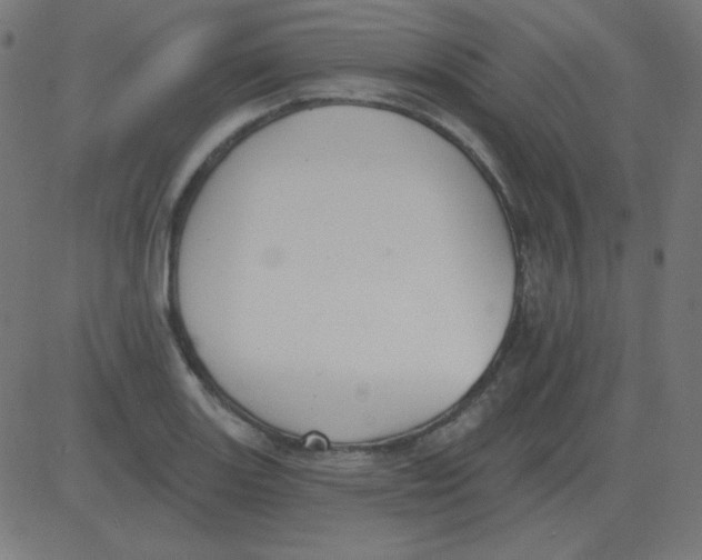 X0000081281131200702012212