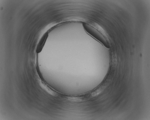 X0000081281132200702012212