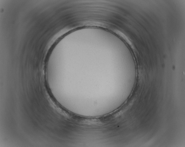 X0000081281133200702012212