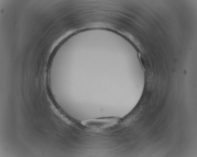 X0000081281134200702012212