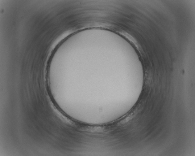 X0000081281135200702012212