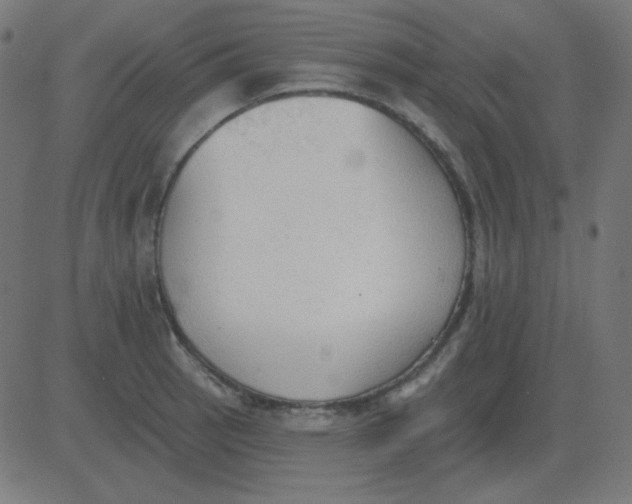 X0000081281137200702012212