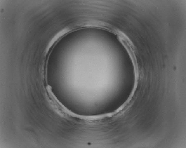 X0000081281138200702012212