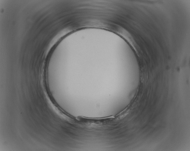 X0000081281139200702012212