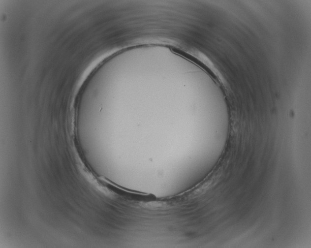 X0000081281140200702012212