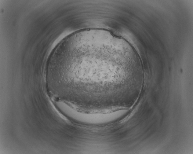 X0000081281141200702012212