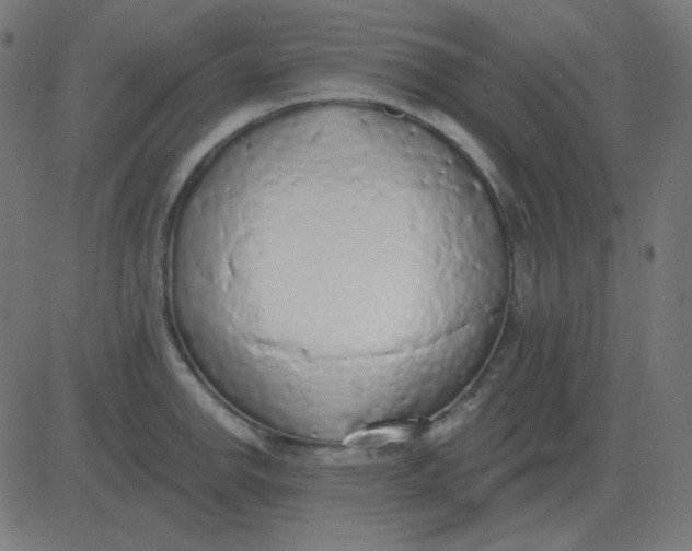 X0000081281142200702012212