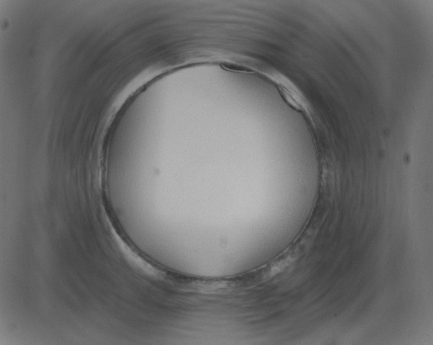 X0000081281143200702012212