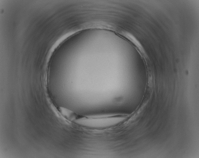 X0000081281144200702012212